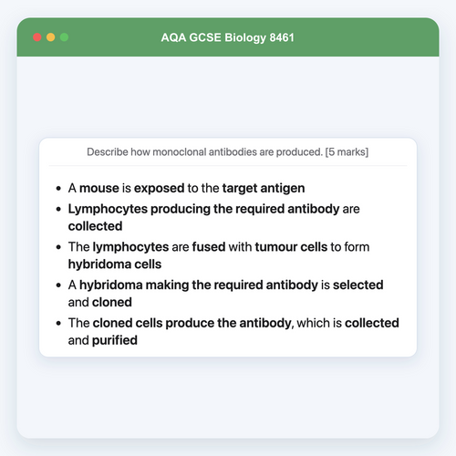 AQA GCSE Biology 8461 Anki Deck example: process in order